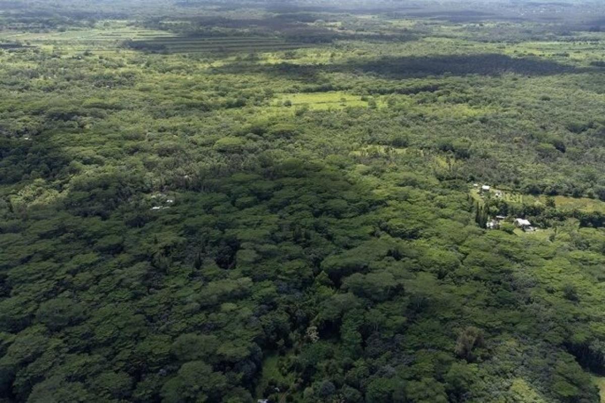 Picture of Residential Land For Sale in Pahoa, Hawaii, United States