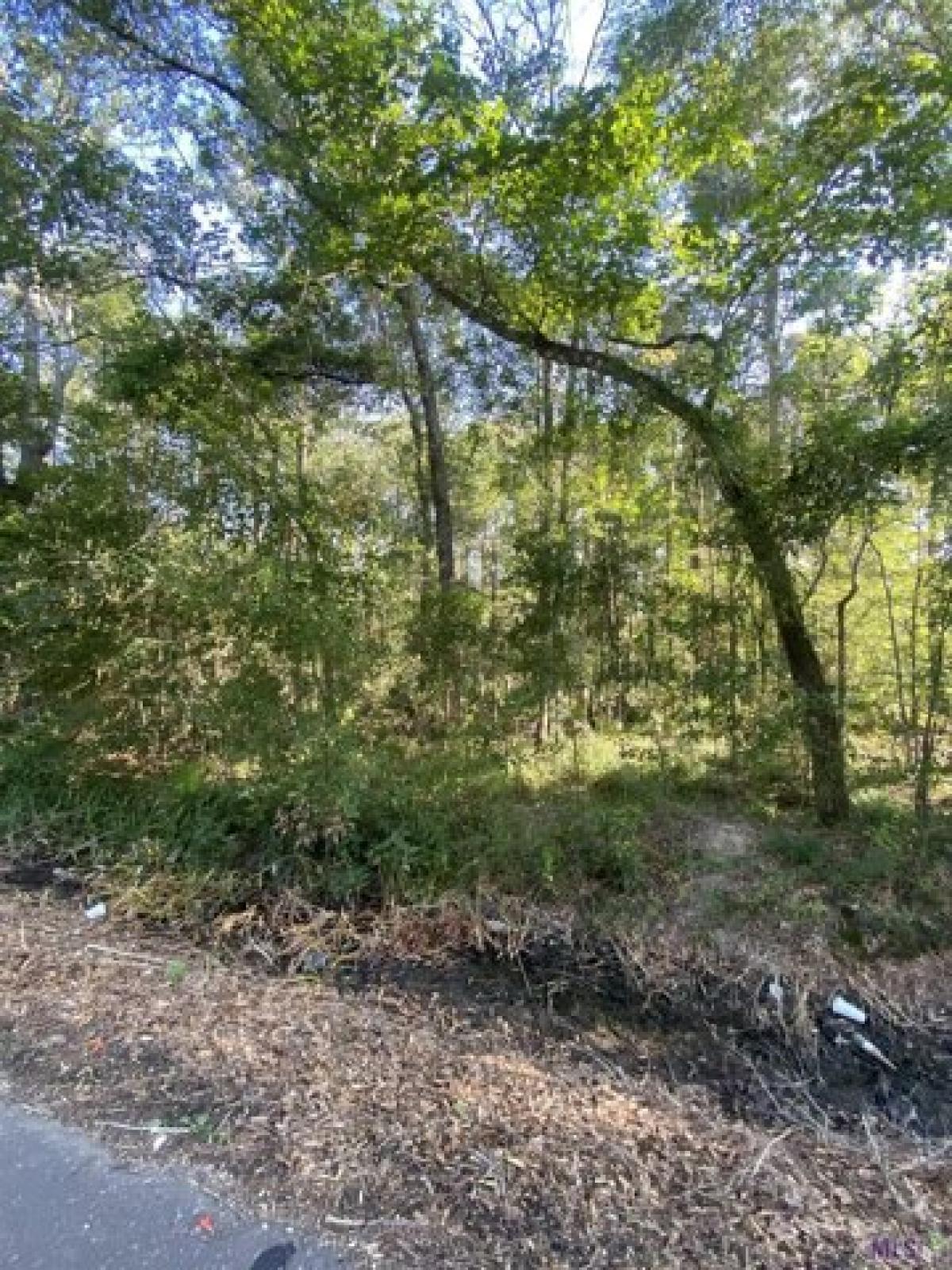 Picture of Residential Land For Sale in Denham Springs, Louisiana, United States