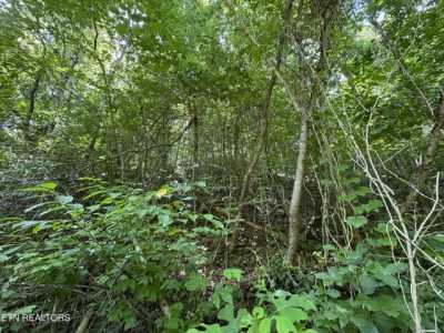 Residential Land For Sale in Dandridge, Tennessee