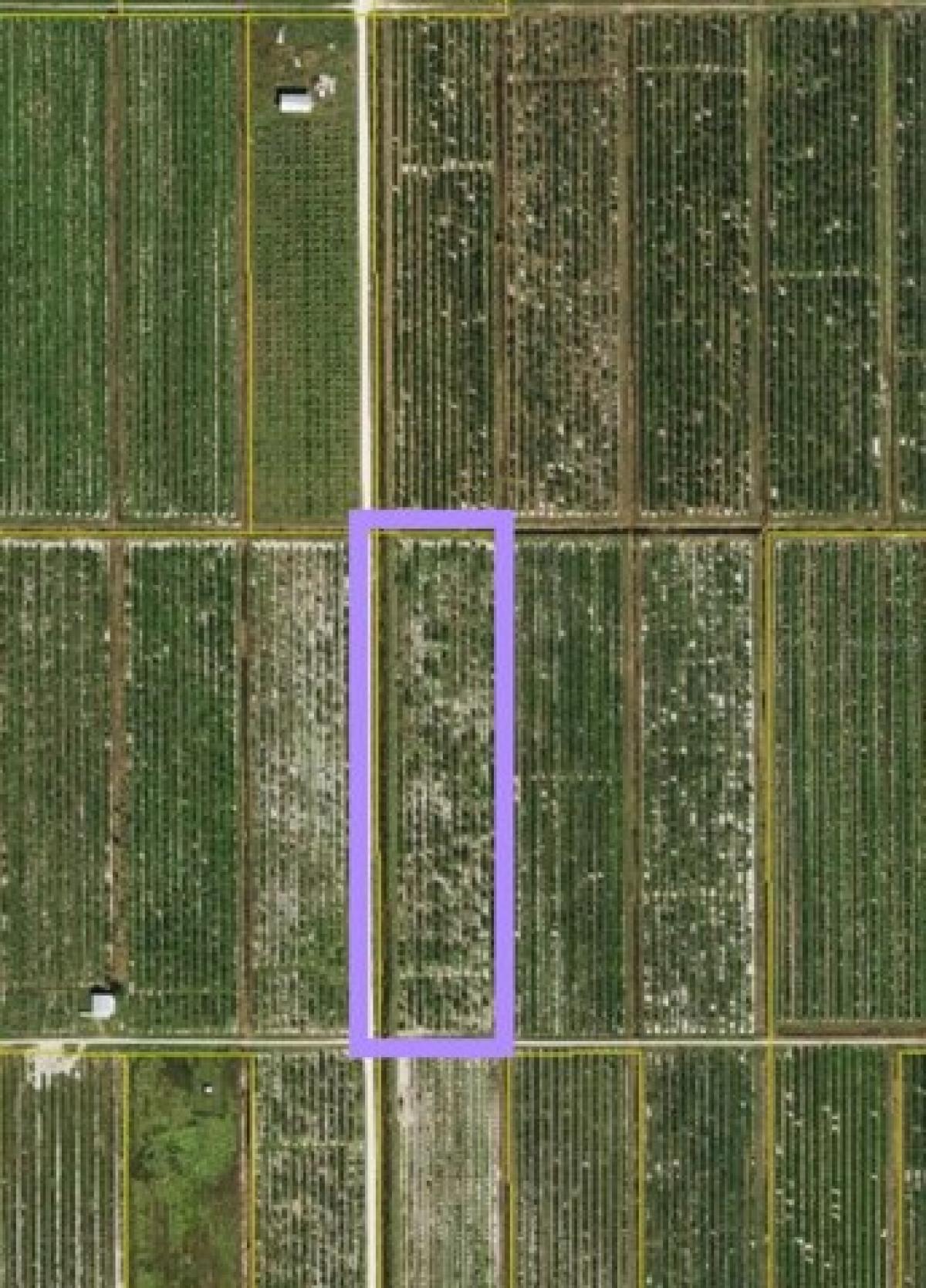 Picture of Residential Land For Sale in Arcadia, Florida, United States