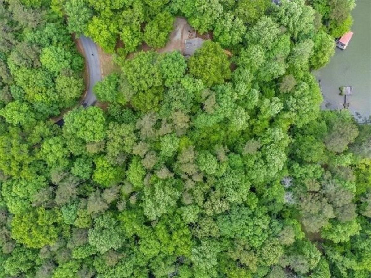 Picture of Residential Land For Sale in Gainesville, Georgia, United States