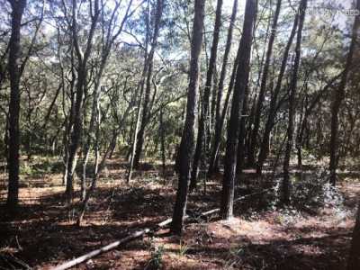 Residential Land For Rent in Satsuma, Florida