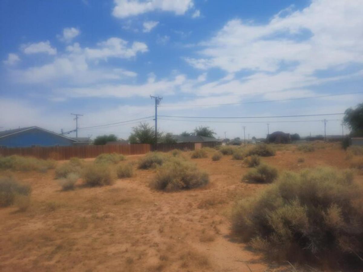 Picture of Residential Land For Sale in California City, California, United States
