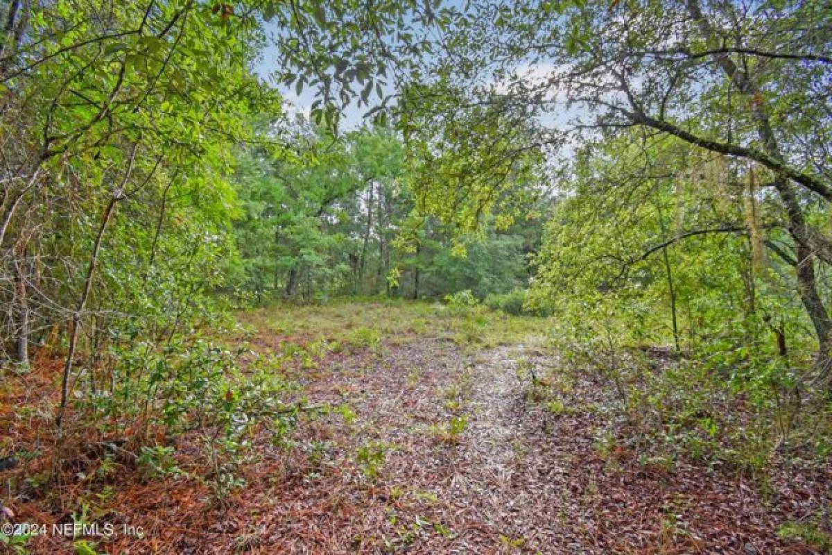Picture of Residential Land For Sale in Interlachen, Florida, United States