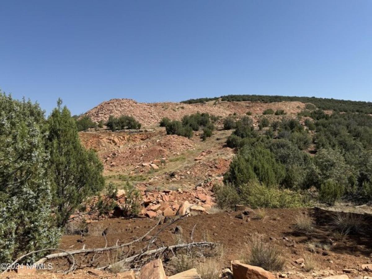 Picture of Residential Land For Sale in Ash Fork, Arizona, United States