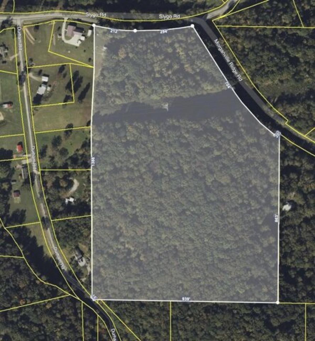 Picture of Residential Land For Rent in Trenton, Georgia, United States