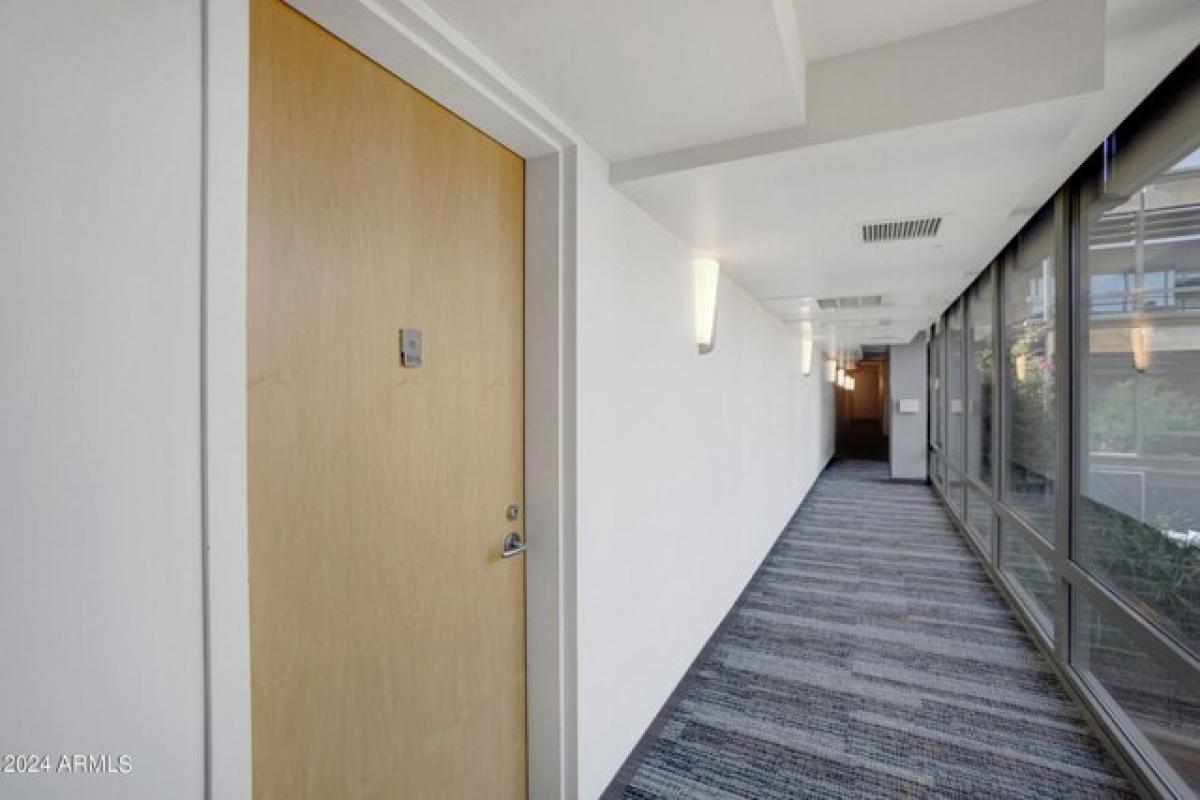 Picture of Apartment For Rent in Scottsdale, Arizona, United States