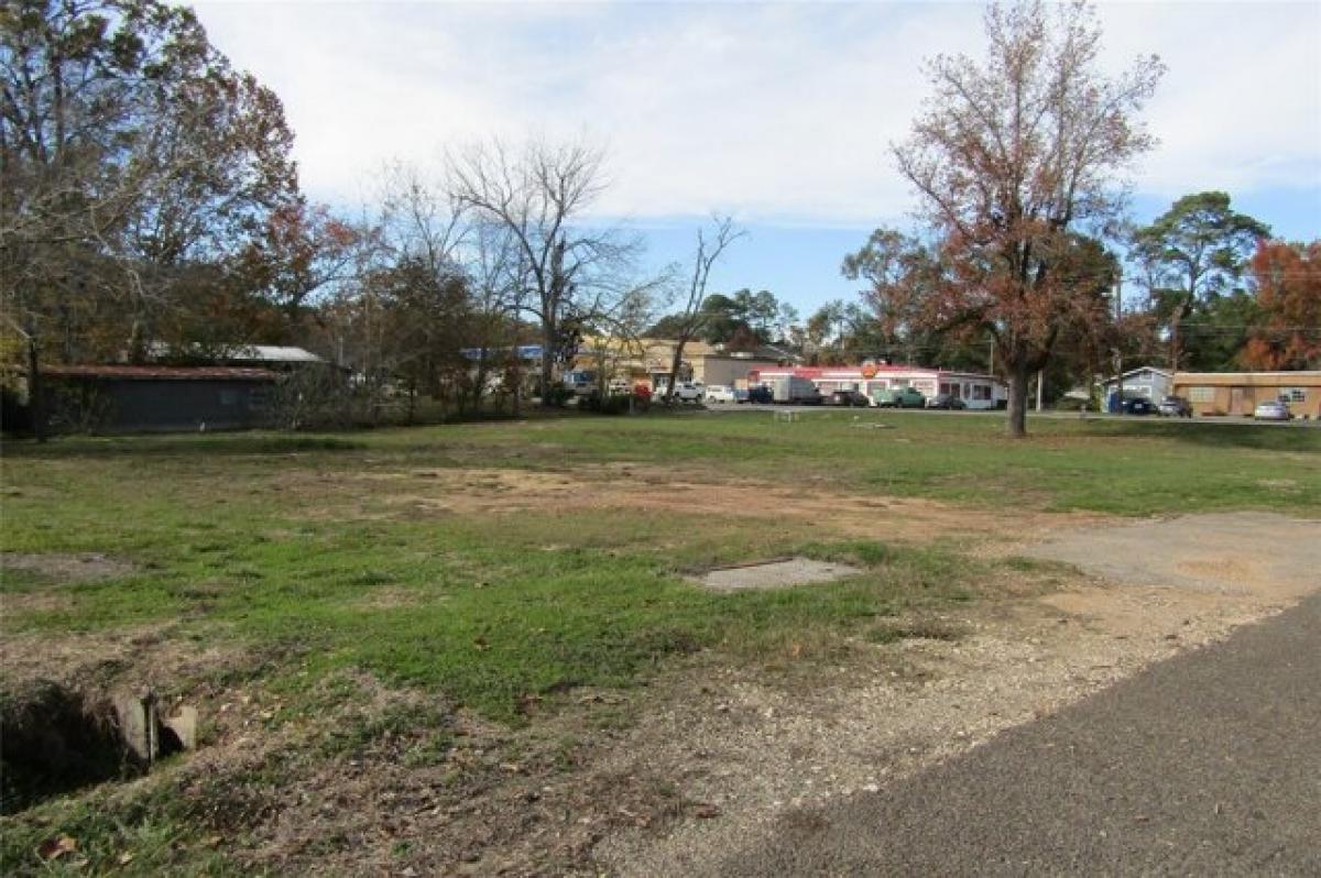 Picture of Residential Land For Sale in Livingston, Texas, United States