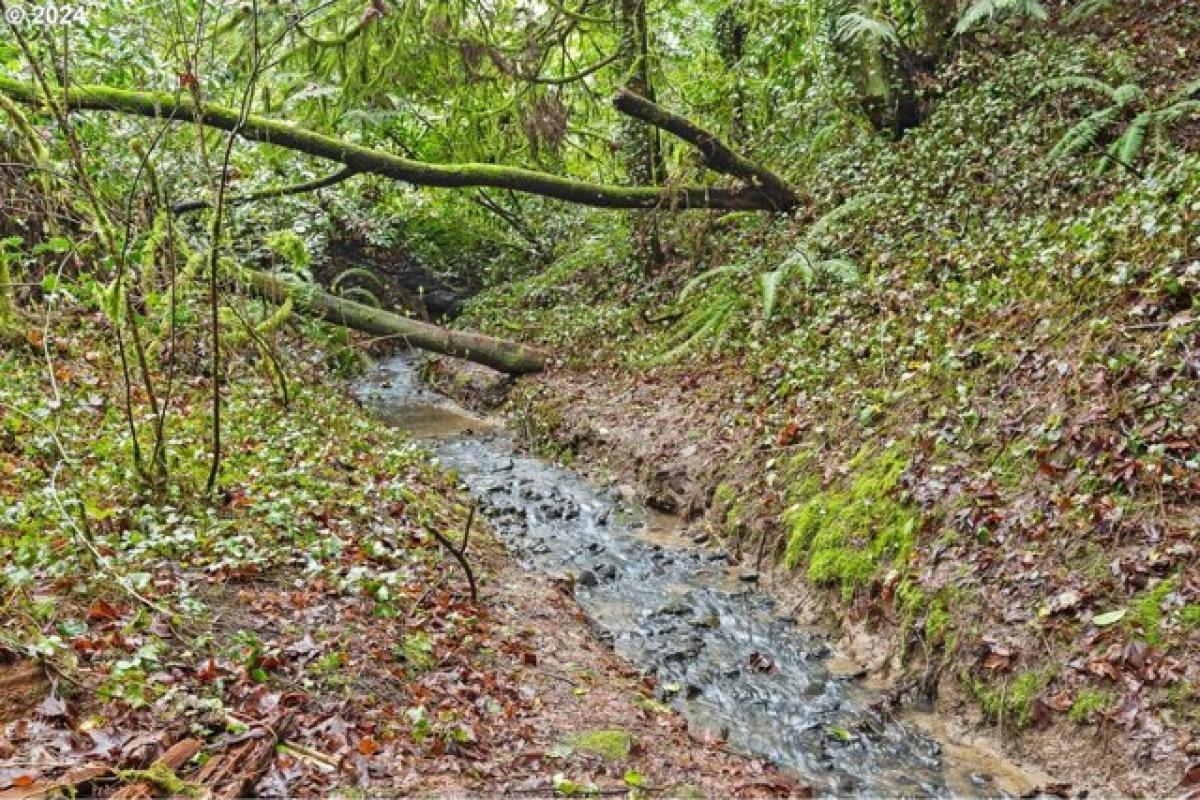 Picture of Residential Land For Sale in Portland, Oregon, United States