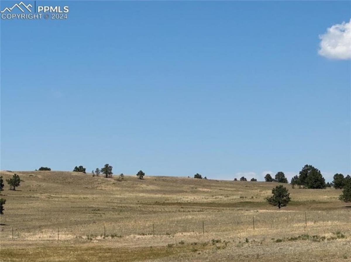Picture of Residential Land For Sale in Colorado Springs, Colorado, United States