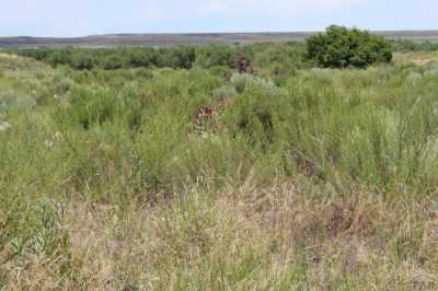 Residential Land For Sale in Pueblo, Colorado