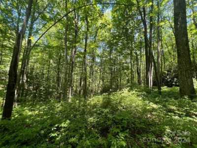 Residential Land For Sale in Brevard, North Carolina