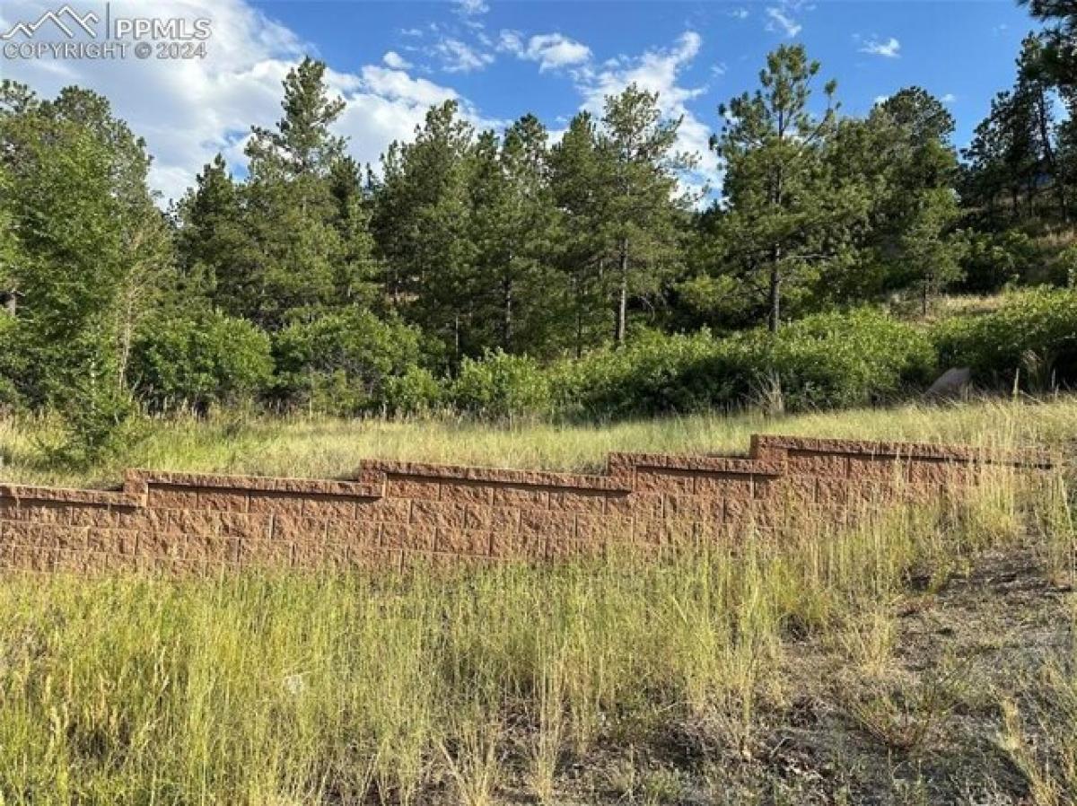 Picture of Residential Land For Sale in Colorado Springs, Colorado, United States