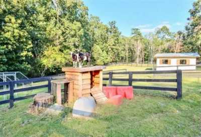 Home For Sale in Canton, Georgia