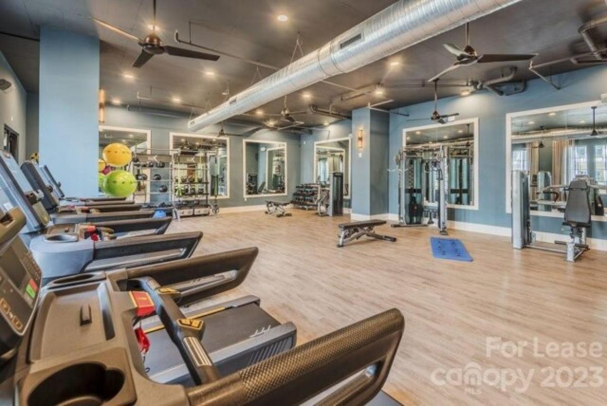 Picture of Apartment For Rent in Charlotte, North Carolina, United States