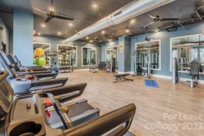 Apartment For Rent in Charlotte, North Carolina