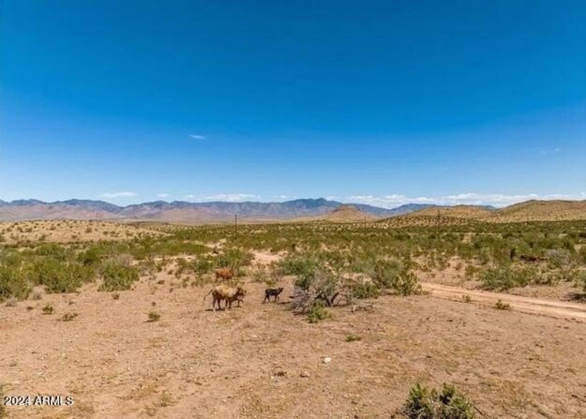 Picture of Residential Land For Sale in , Arizona, United States