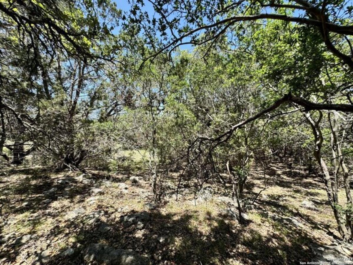 Picture of Residential Land For Sale in Bulverde, Texas, United States