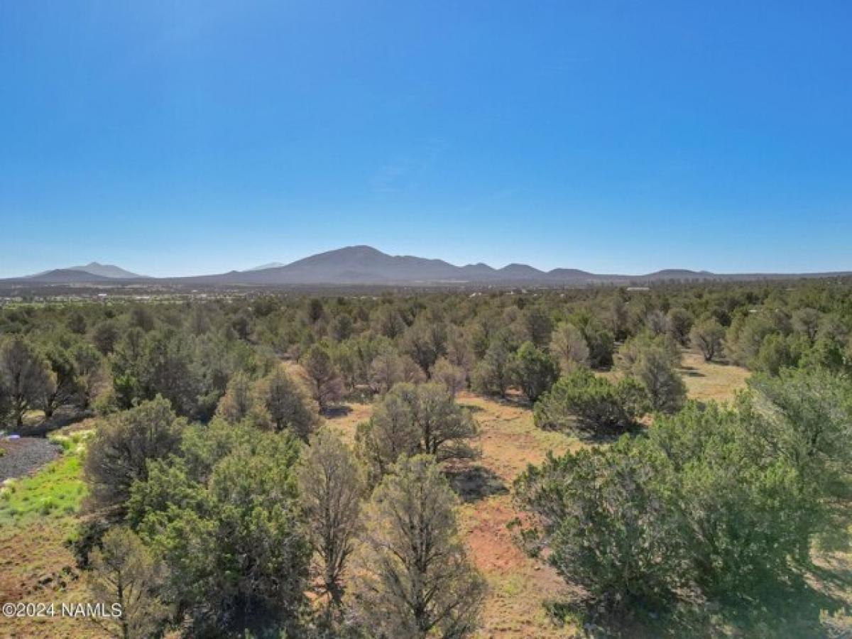 Picture of Residential Land For Sale in Williams, Arizona, United States