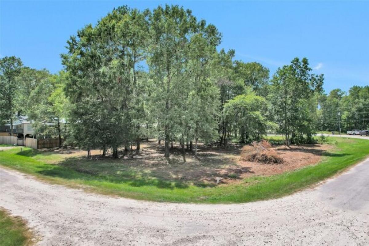 Picture of Residential Land For Sale in Pointblank, Texas, United States