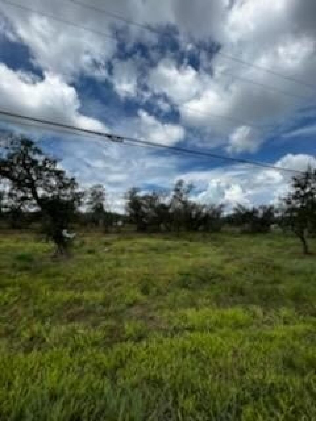 Picture of Residential Land For Sale in Rockport, Texas, United States