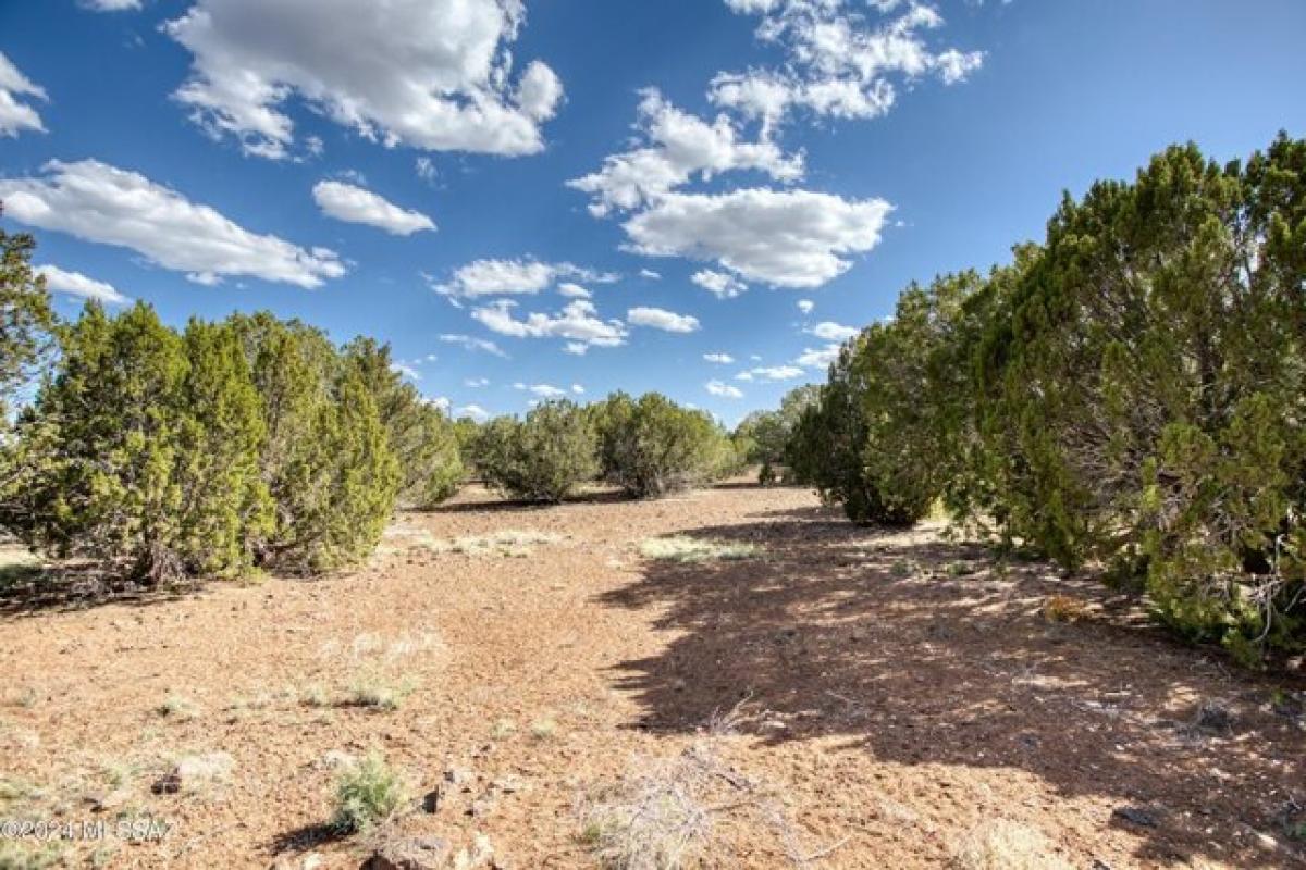 Picture of Residential Land For Sale in Show Low, Arizona, United States