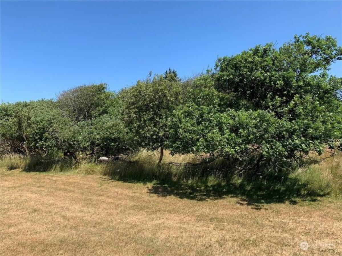 Picture of Residential Land For Sale in Ocean Shores, Washington, United States