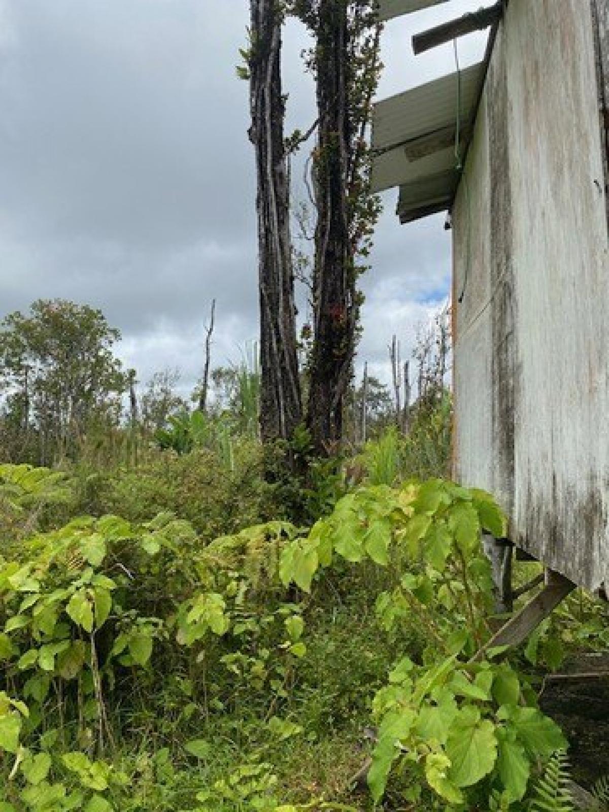 Picture of Residential Land For Sale in Volcano, Hawaii, United States