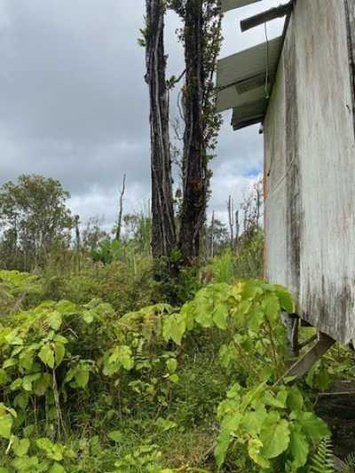 Residential Land For Sale in Volcano, Hawaii