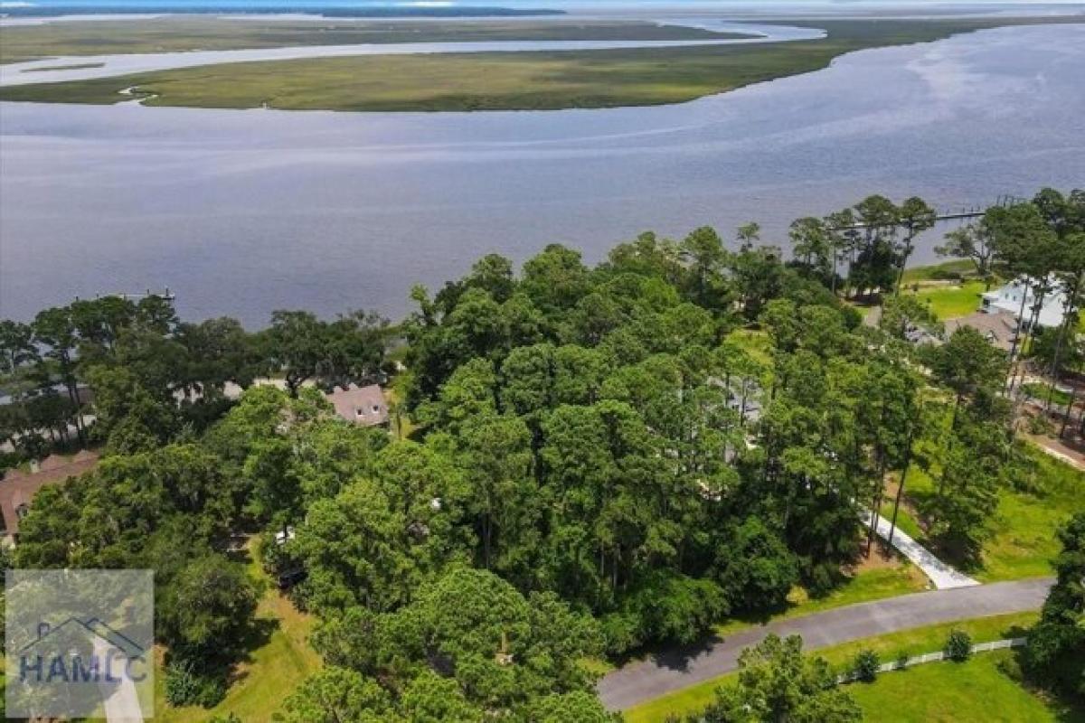 Picture of Residential Land For Sale in Townsend, Georgia, United States