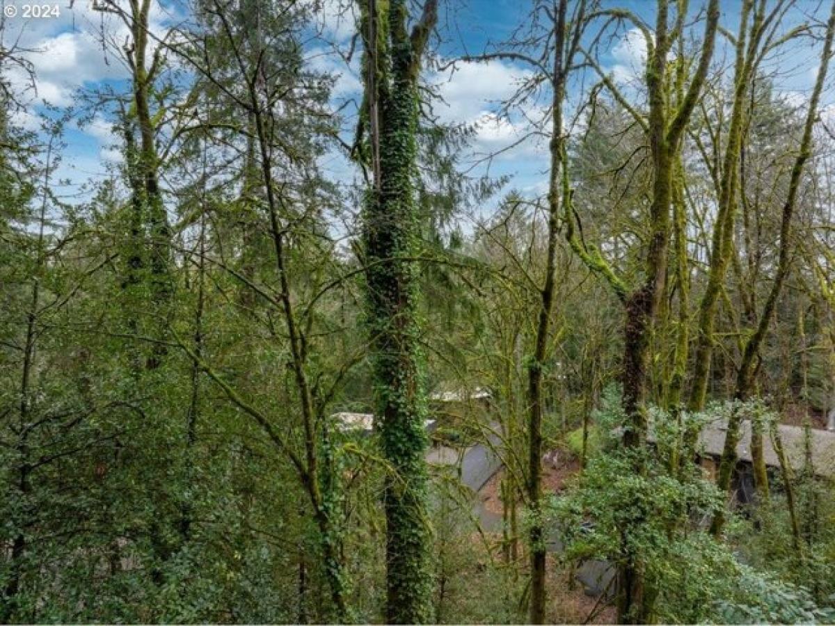 Picture of Residential Land For Sale in Portland, Oregon, United States