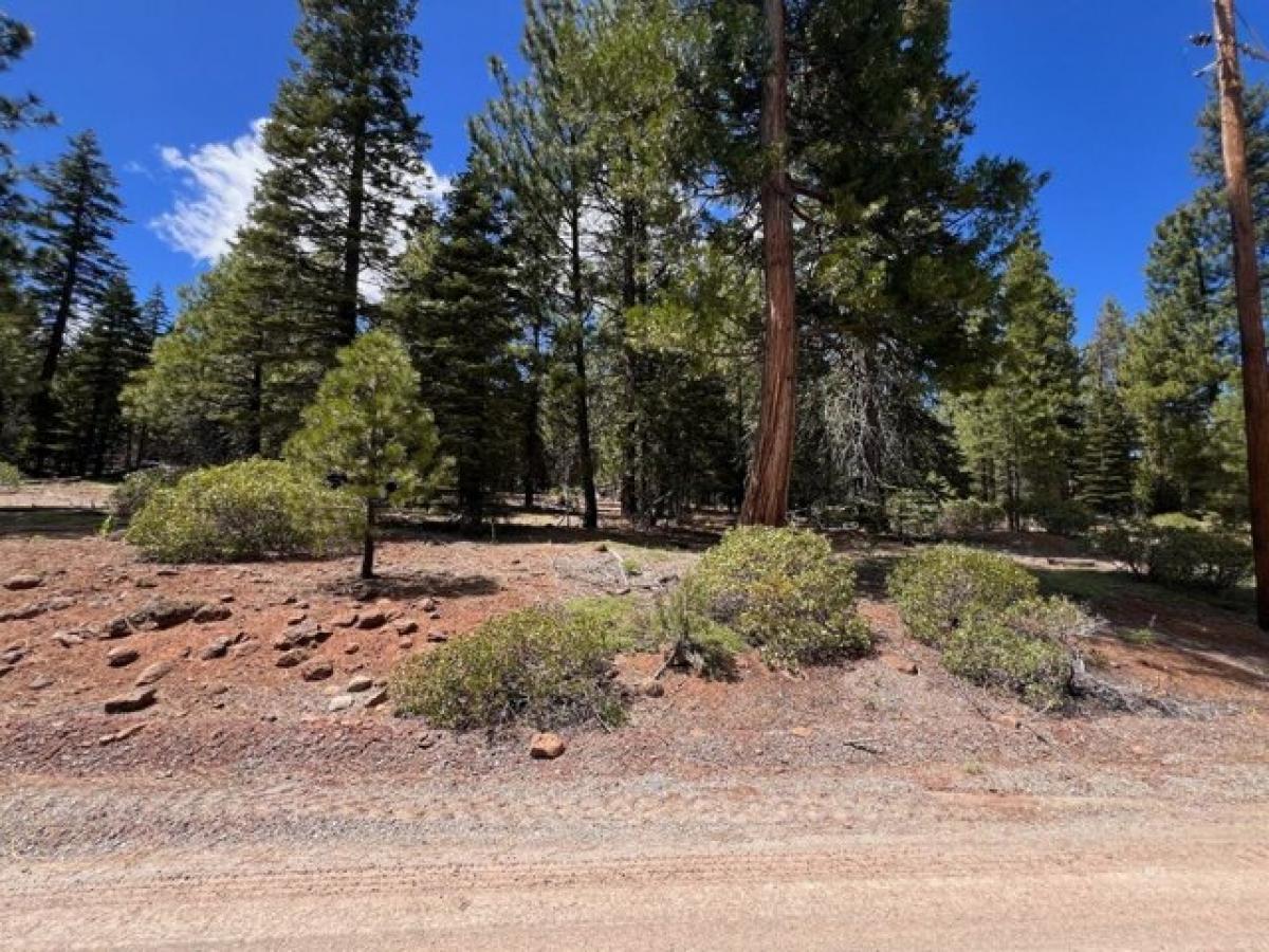 Picture of Residential Land For Rent in Alturas, California, United States