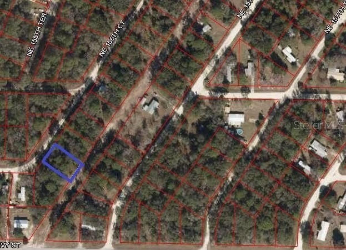 Picture of Residential Land For Rent in Williston, Florida, United States
