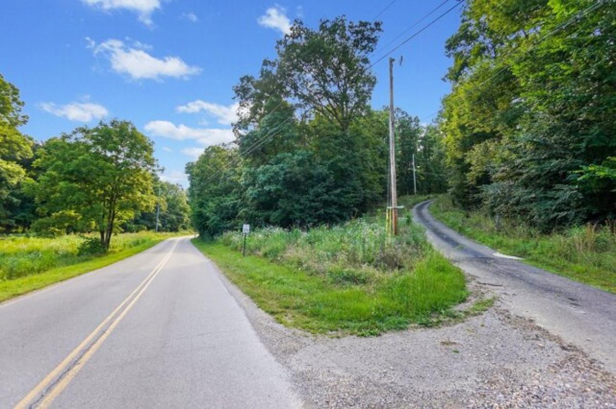 Picture of Residential Land For Sale in Dover, Tennessee, United States