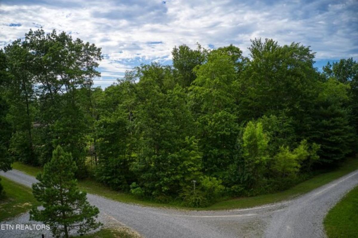 Picture of Residential Land For Sale in Jamestown, Tennessee, United States