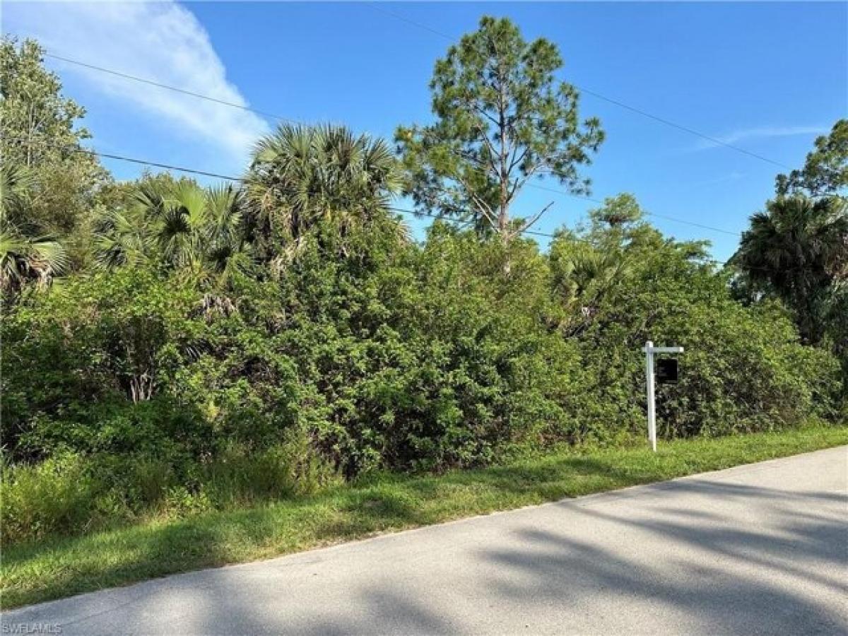 Picture of Residential Land For Sale in Naples, Florida, United States