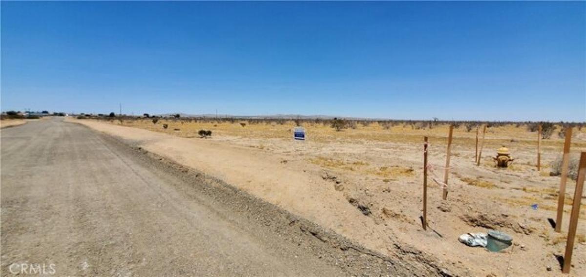 Picture of Residential Land For Sale in Adelanto, California, United States