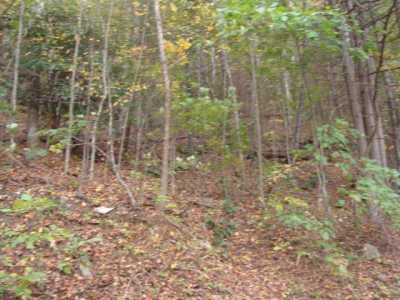 Residential Land For Rent in Fancy Gap, Virginia