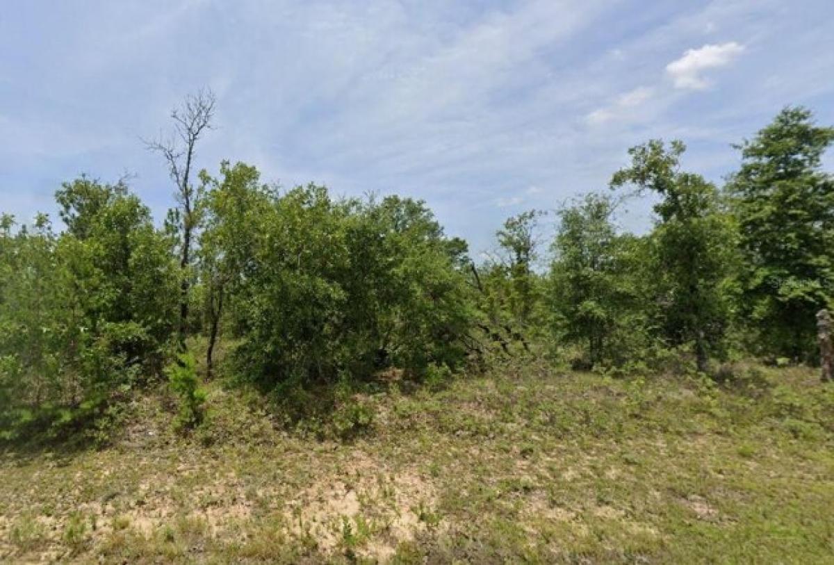 Picture of Residential Land For Sale in Chipley, Florida, United States