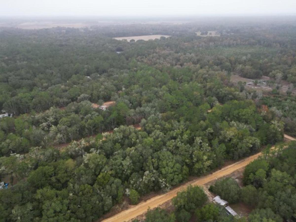 Picture of Residential Land For Rent in Interlachen, Florida, United States