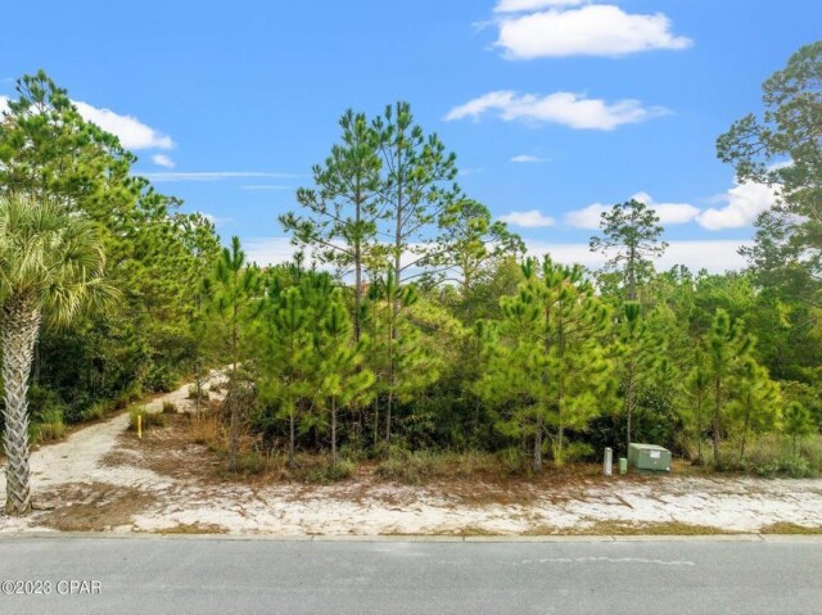 Picture of Residential Land For Sale in Panama City Beach, Florida, United States
