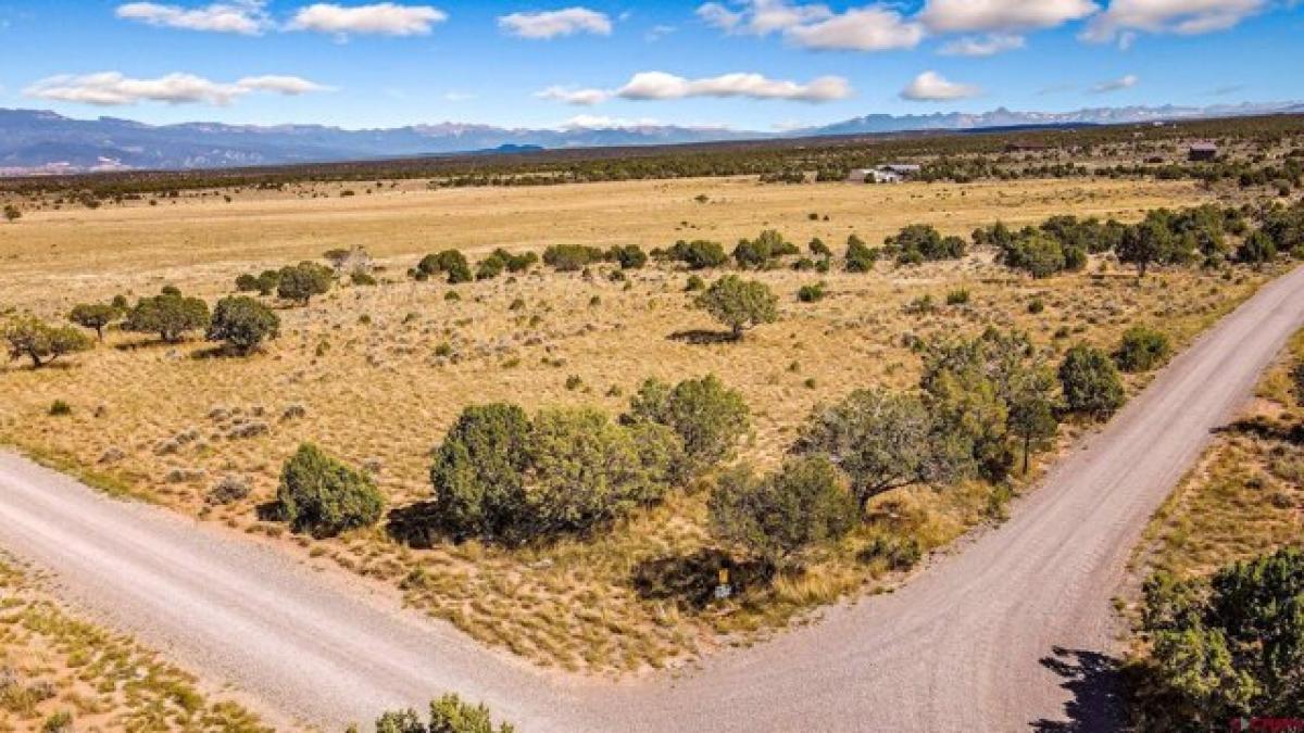 Picture of Residential Land For Sale in Montrose, Colorado, United States