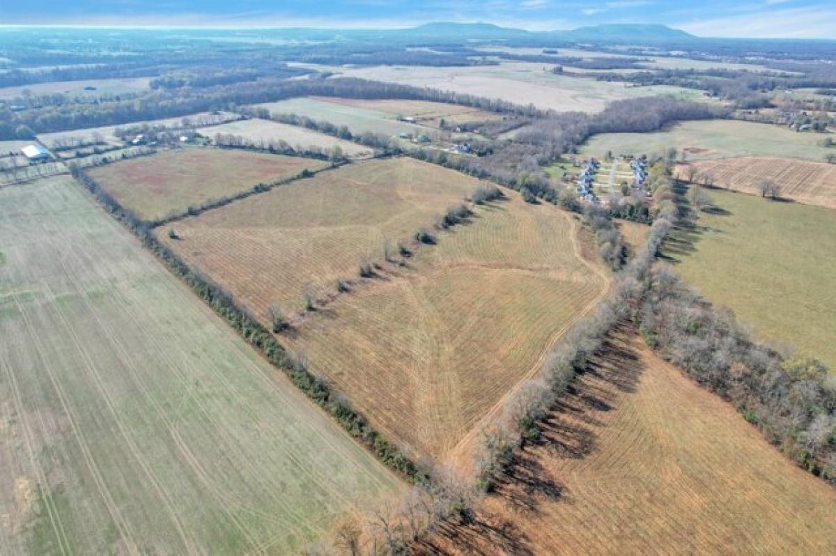 Picture of Residential Land For Sale in Smithville, Tennessee, United States