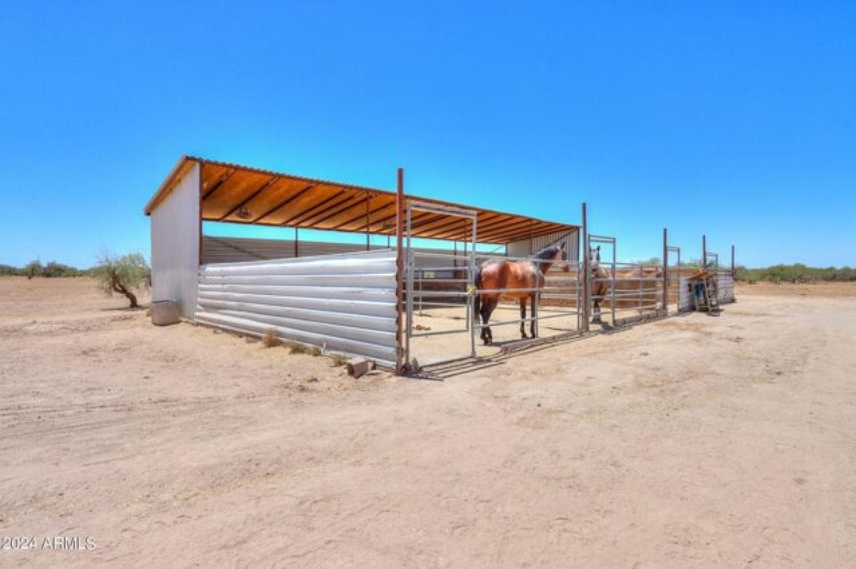 Picture of Home For Sale in Casa Grande, Arizona, United States