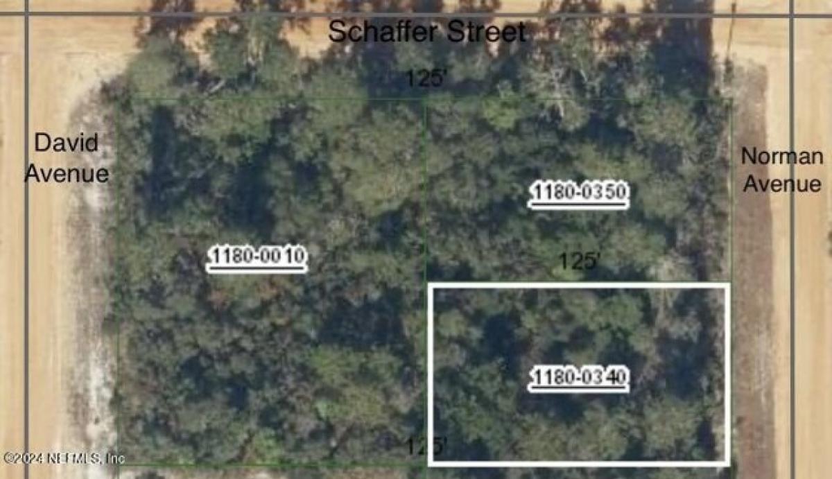 Picture of Residential Land For Rent in Interlachen, Florida, United States