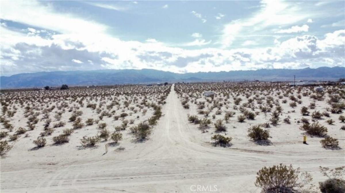 Picture of Residential Land For Sale in Twentynine Palms, California, United States