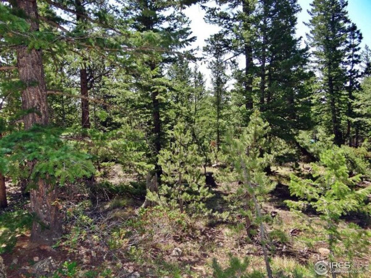 Picture of Residential Land For Sale in Red Feather Lakes, Colorado, United States