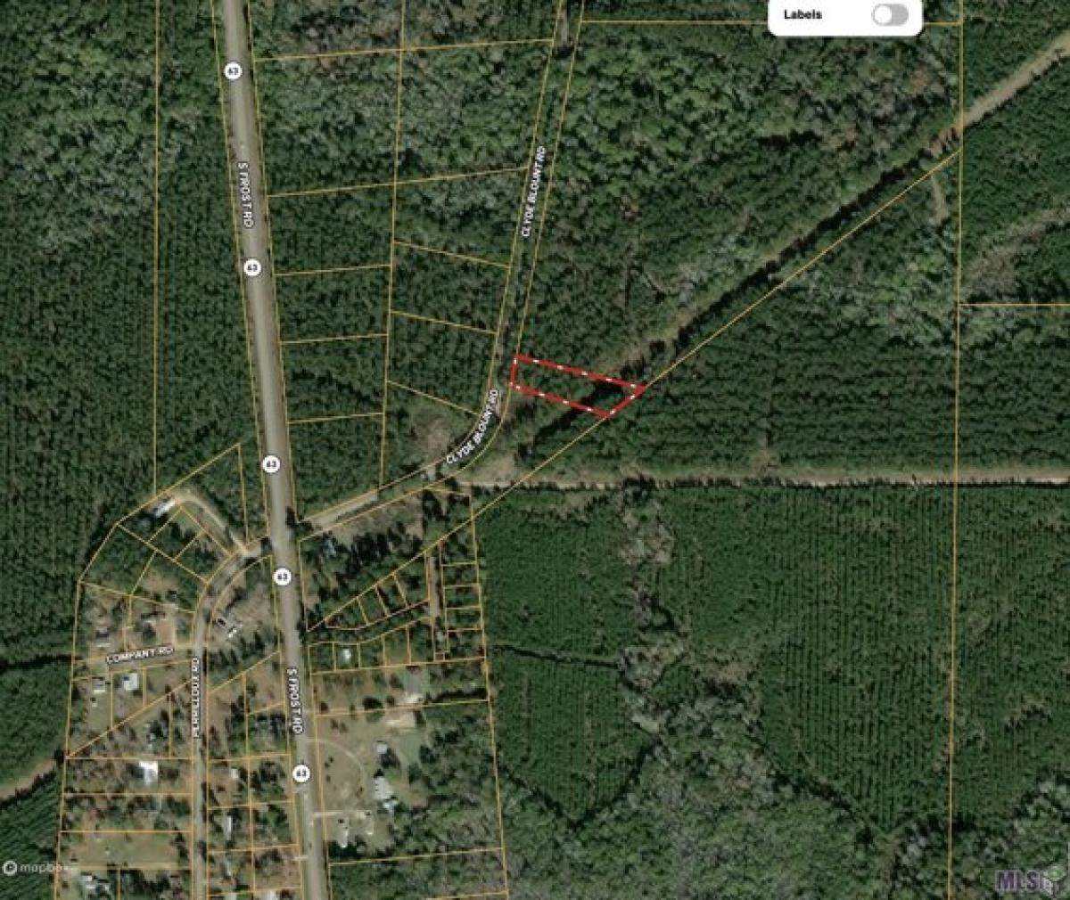 Picture of Residential Land For Sale in Livingston, Louisiana, United States