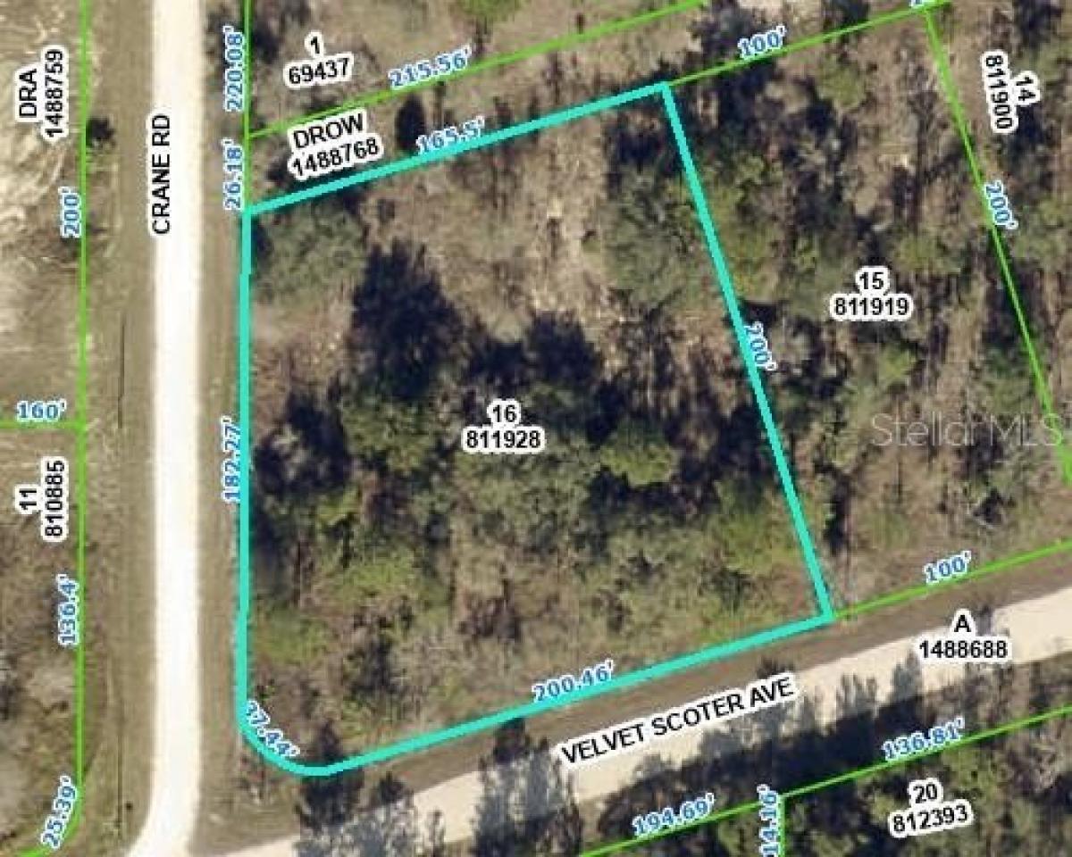Picture of Residential Land For Sale in Brooksville, Florida, United States
