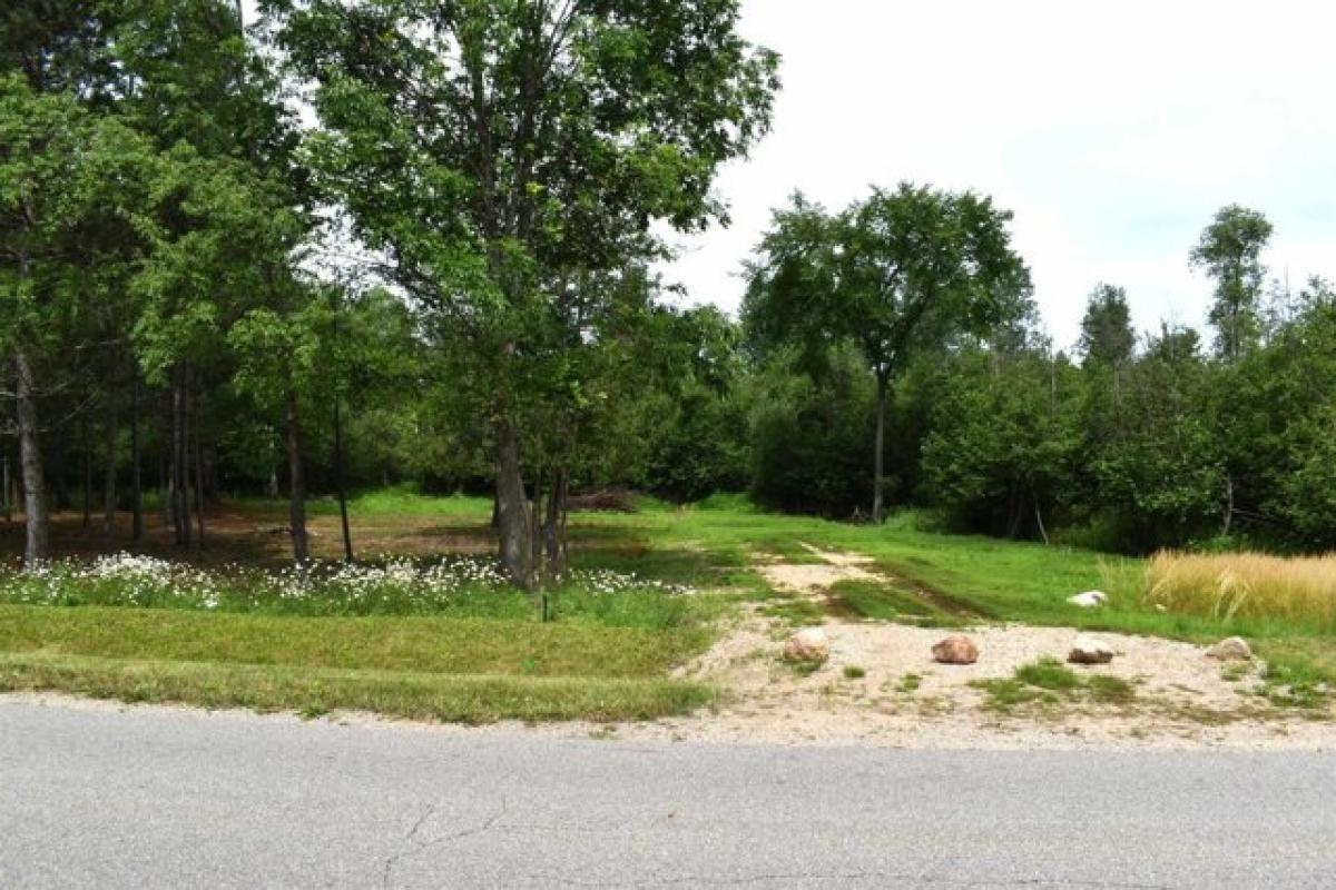Picture of Residential Land For Rent in Gladwin, Michigan, United States